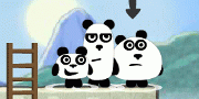 3 Pandas in Brazil