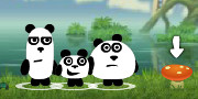 3 Pandas in Fantasy