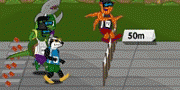 Animal Race Way