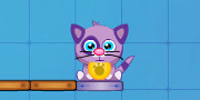 Cat Shmat
