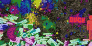 Color Carnage