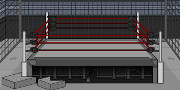 Escape The Wrestling Ring