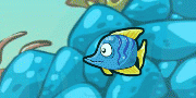 Fish Race Champions