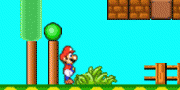 Mario Mushroom Adventure