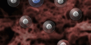 Nano War 2