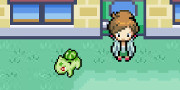 Pokemon Campaign