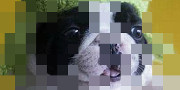 RePixel