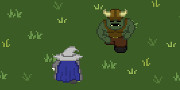 Wizards Run